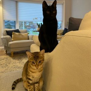 Meet your Posher, Aryn